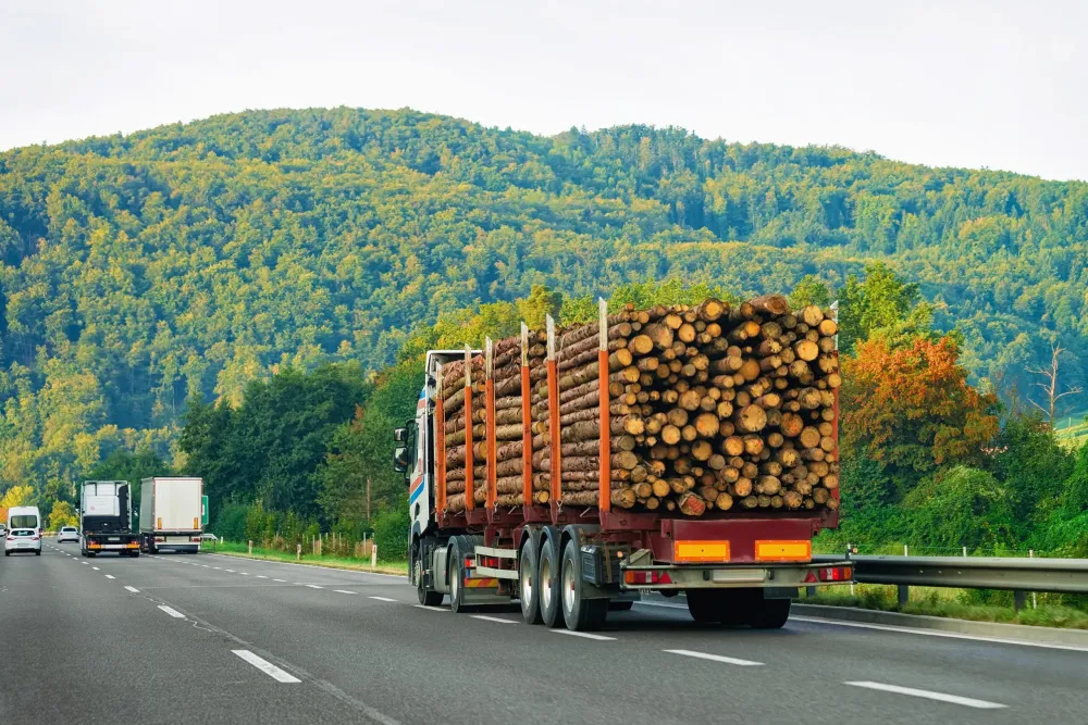 Livraison de bois sur mesure à Réalmont